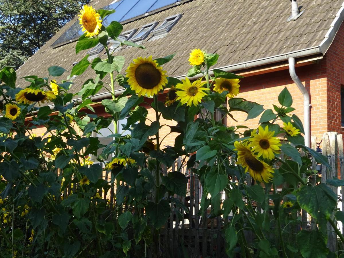 Peanuts Hostel & Meer Surendorf 外观 照片