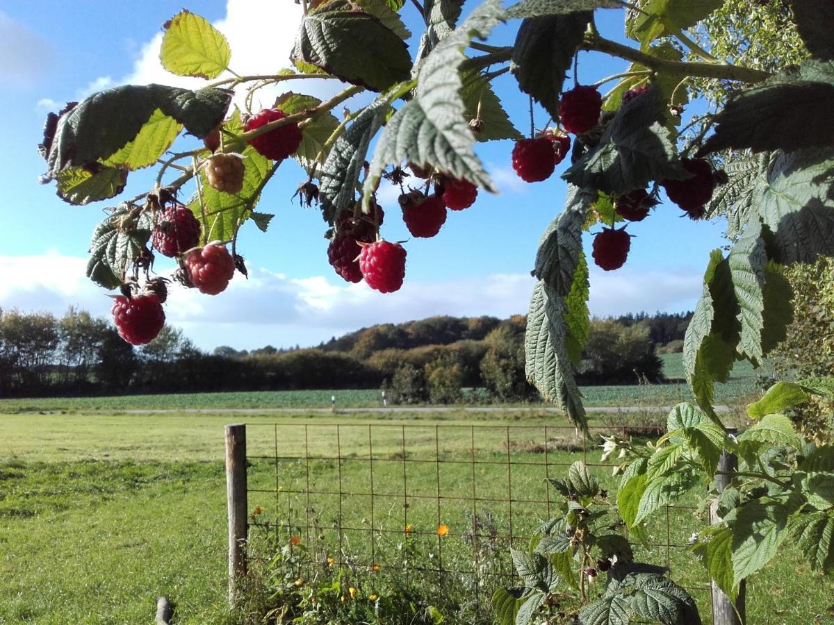 Peanuts Hostel & Meer Surendorf 外观 照片