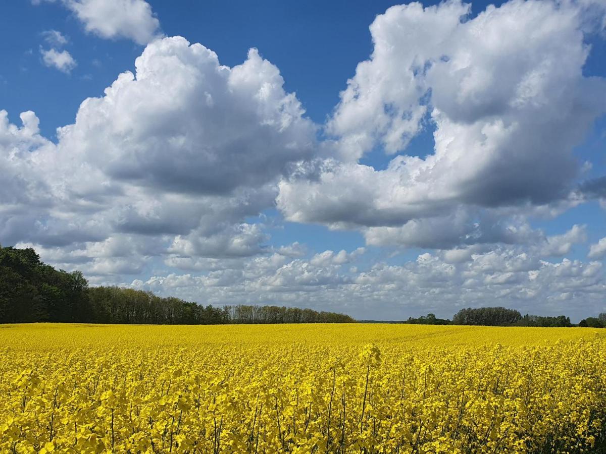 Peanuts Hostel & Meer Surendorf 外观 照片